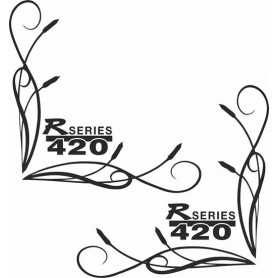 Raamsticker R420
